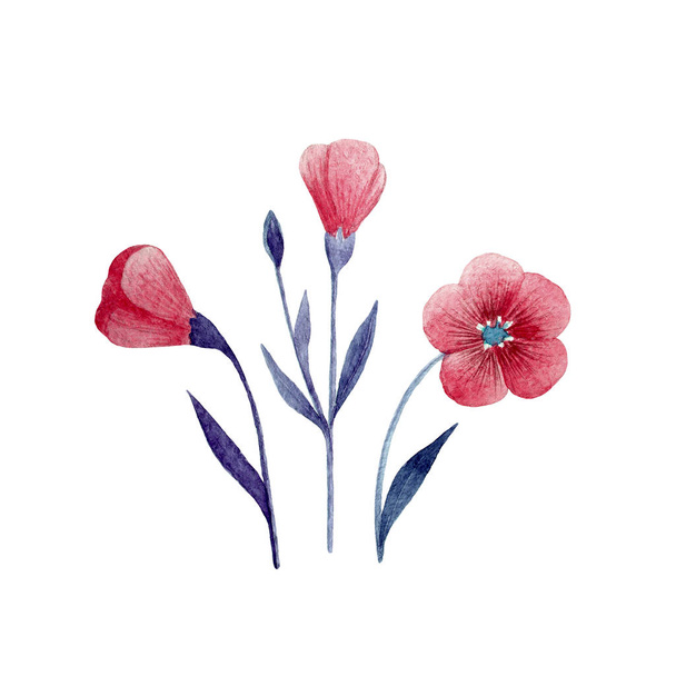 Red watercolor flowers isolated on a white background. Hand drawn illustration. Floral decorative composition for postcards, greeting cards, wedding invitations - Foto, Imagen