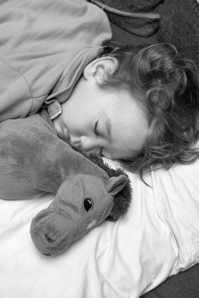Een 3-jarig mannelijk kind dat slaapt met zijn favoriete speelgoedpaard - Foto, afbeelding