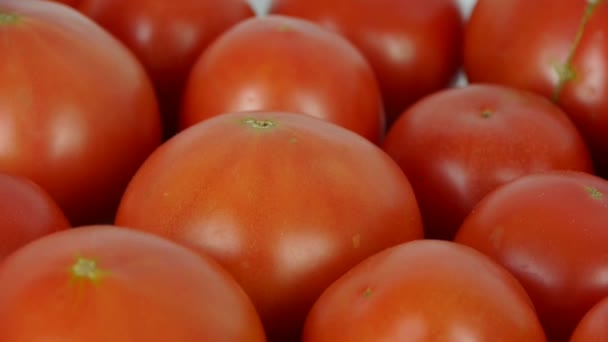 A set of fresh tomato fruit. - Footage, Video