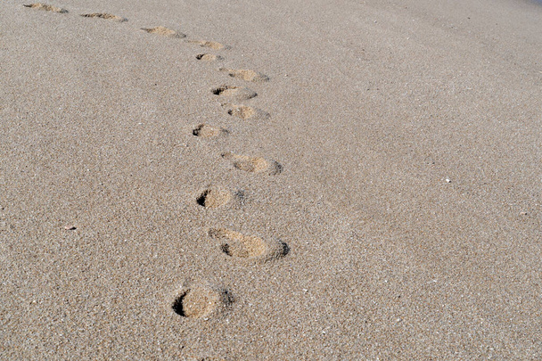 pista pedonale umana su dettaglio spiaggia sabbiosa
 - Foto, immagini