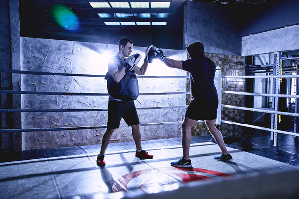 boxers profissionais com luvas de trem lutas em anel de boxe interior, cores escuras
 - Foto, Imagem