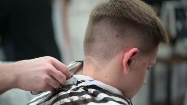 Young mans haircut in Barbershop. Close-up of master clipping hair with clipper - Video