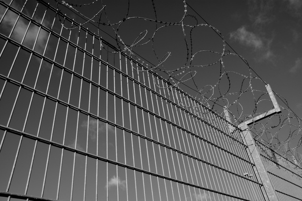 Filo spinato su una recinzione
 - Foto, immagini