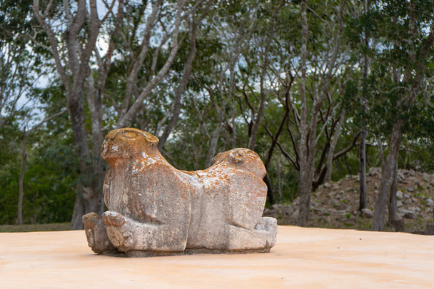 Trono de jaguar de piedra de doble cabeza. Uxmal una antigua ciudad maya del período clásico. Foto de viaje. Yucatán. México.
. - Foto, imagen