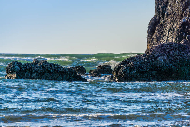 波がオレゴン州のキャノンビーチで転がる. - 写真・画像