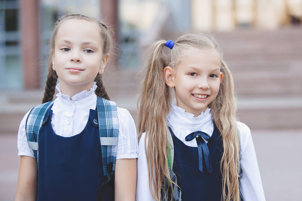 Two teenage schoolgirls in uniform with ponytails and pigtails pose and look at the camera. - Fotografie, Obrázek