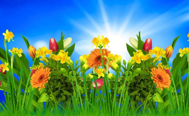 Lots of beautiful spring flowers against a blue sky with sun in background - Фото, изображение