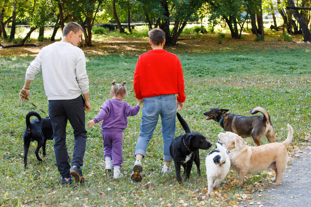 Νεαρή οικογένεια τριών παιδιών: μαμά, μπαμπάς και κόρη περπατούν στο πάρκο με σκυλιά. - Φωτογραφία, εικόνα