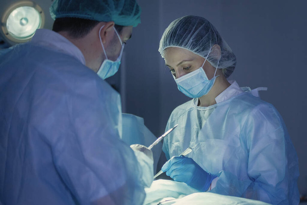 Три хирурга во время операции на животе. Синяя униформа, латексные перчатки, медицинские инструменты. Точечное освещение. - Фото, изображение