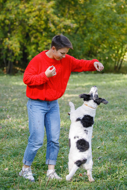 Jeune femme joue avec des chiens sur la pelouse dans un parc d'été
. - Photo, image