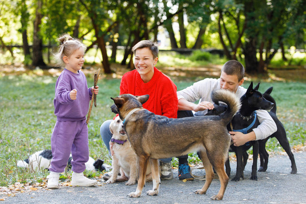 Young family of three: mom, dad and daughter are walking in the park with dogs. - Fotografie, Obrázek