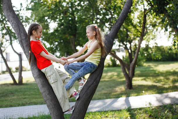 Dvě dospívající dívky vyšplhaly na strom, hrát, bavit se a užít si léto v městském parku. - Fotografie, Obrázek