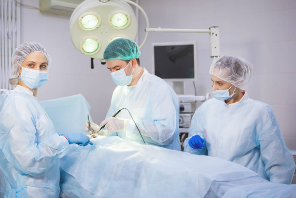 Trzech chirurgów podczas operacji brzucha. Niebieskie mundury, lateksowe rękawiczki, instrumenty medyczne. Oświetlenie punktowe. - Zdjęcie, obraz