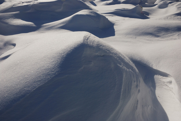čerstvě padlý sníh - Fotografie, Obrázek