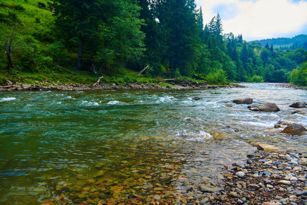 landscape, beautiful view of mountain river in summer day, fast flowing water and rocks, wild nature - Photo, Image