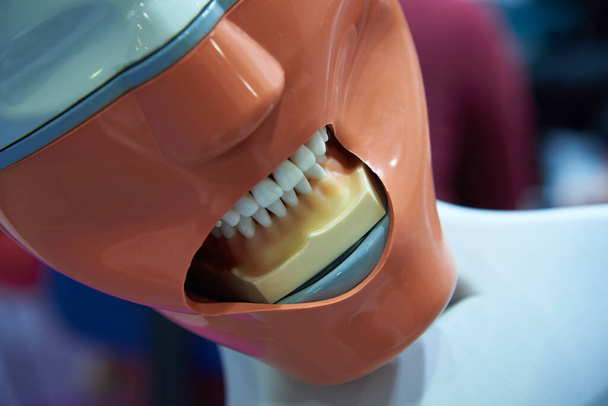 Maniquí para enseñar a los estudiantes procedimientos terapéuticos dentales
 - Foto, imagen