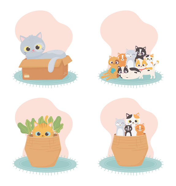 cats make me happy, cats in basket box in carpet cartoon - Vector, afbeelding
