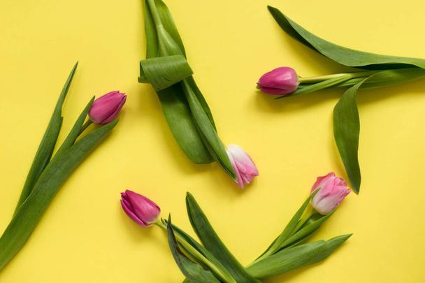 Beautiful spring tulips on yellow background. Concept of Valentines day, Women's Day March eight, Mothers day. Space for text, flat lay. - Foto, Bild