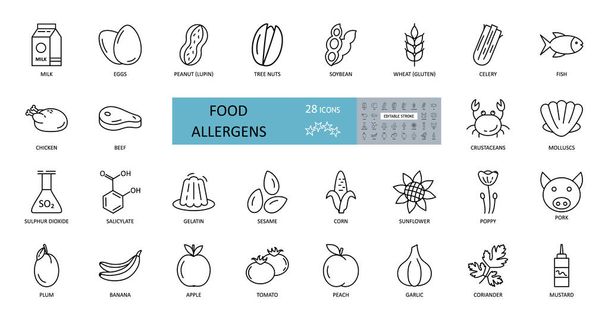 Значок пищевых аллергенов. Векторный набор из 28 значков с редактируемым штрихом. Коллекция содержит большинство аллергенных продуктов, таких как глютен, рыба, яйца, моллюски, арахис, люпин, соя, сельдерей, молоко, орехи деревьев
 - Вектор,изображение