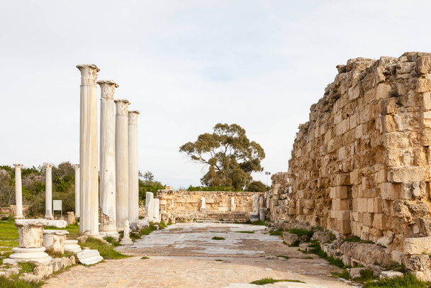 Τα ερείπια της αρχαίας ελληνικής πόλης της Σαλαμίνας στην Τουρκική Δημοκρατία της Βόρειας Κύπρου. - Φωτογραφία, εικόνα