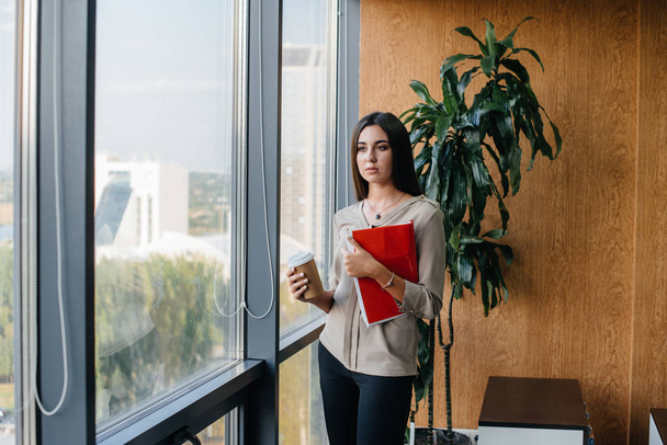 Business woman is standing in the office near the window and is studying documents. Business, finance, lawyer - Фото, зображення