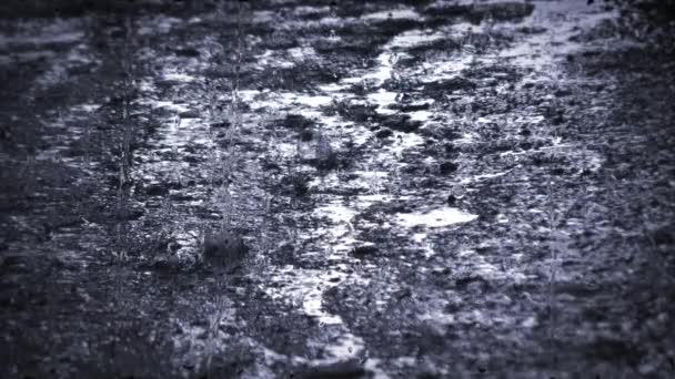 Heavy rain shower downpour cloudburst rainfall behind the glass. - Filmati, video