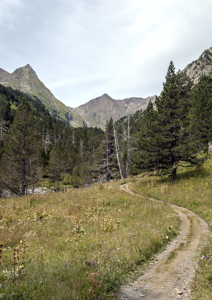 Montagne dei Pirenei
 - Foto, immagini