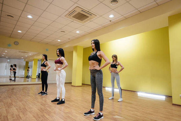 Athletic young girls are engaged in fitness and aerobics in a group class. Fitness, healthy lifestyle - Φωτογραφία, εικόνα