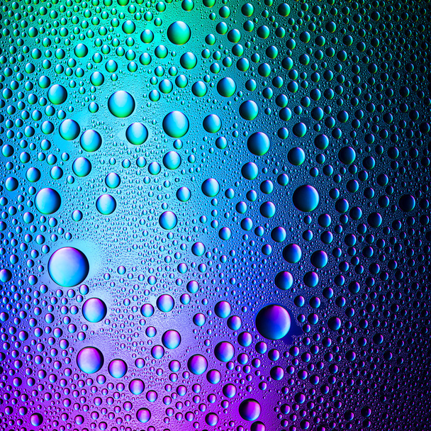 Water drops spectral blue green purple colors gradient rainbow colorful beading lotuseffekt tau sealing - Photo, Image