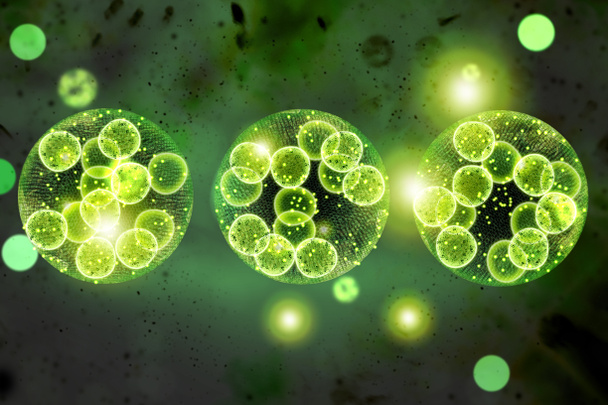 緑の単細胞クロレラ藻類顕微鏡概念的な3Dイラスト - 写真・画像