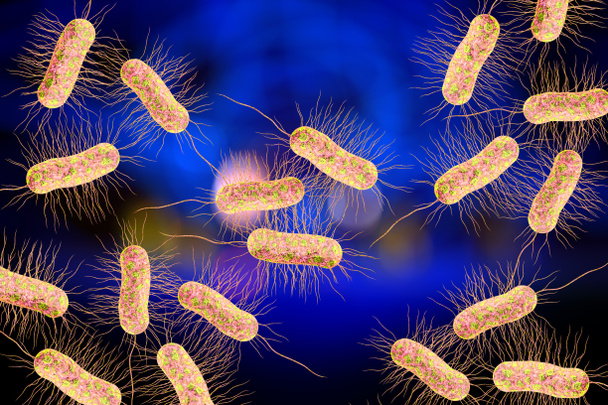 Escherichia coli también conocida como bacteria Ecoli en la ciencia de la salud fondo ilustración 3D
 - Foto, Imagen