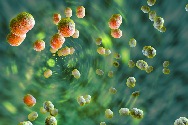Microscoop close-up van meningitis bacteriën, ook bekend als meningococcus 3D Illustratie - Foto, afbeelding