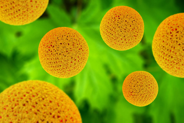 Closeup virág pollen szemcsék használatra allergia háttér 3D illusztráció - Fotó, kép
