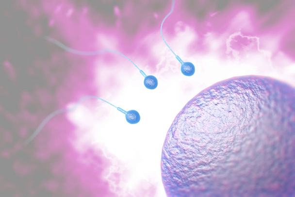 肥沃な人間の卵を含浸させるために精子のレースを泳ぐ3Dデジタルイラスト - 写真・画像