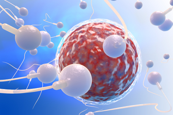 Zwemmen sperma race om een vruchtbaar menselijk ei te bevruchten 3D digitale illustratie - Foto, afbeelding