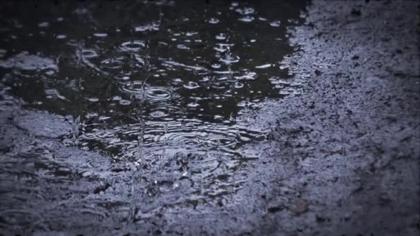 Heavy rain shower downpour cloudburst rainfall behind the glass. - Footage, Video