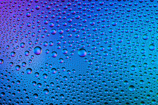 Water drops spectral blue purple colors gradient rainbow colorful beading lotuseffekt tau sealing - Photo, Image