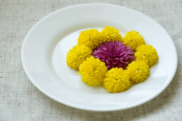 Still life with chrysanthemums on the plate - Фото, изображение
