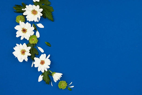 Patrón de flores. Flores blancas sobre fondo azul. Espacio para el texto. Vista superior, plano
 - Foto, Imagen
