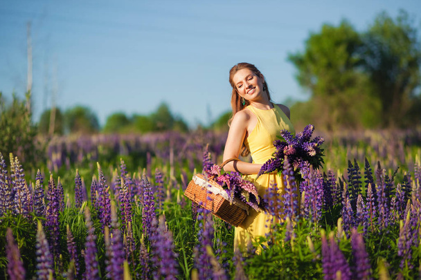 Une jeune belle fille en robe jaune tient un panier de lupins violets dans un champ fleuri. Fleurs de Lupin en fleurs. respectueux de l'environnement. Le concept de la nature. Concentration douce
. - Photo, image