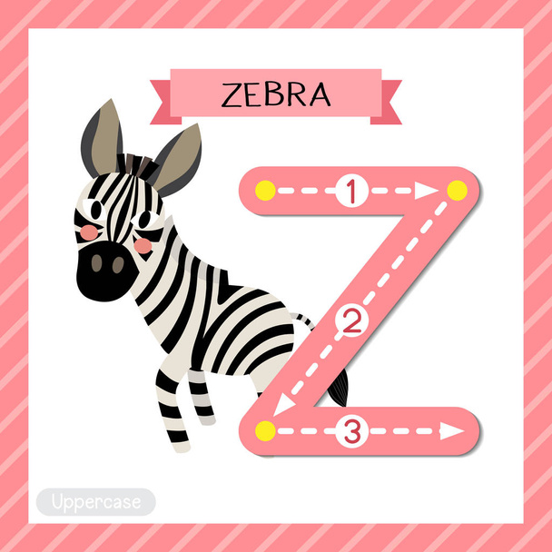 Letter Z uppercase cute children colorful zoo and animals ABC alphabet tracing flashcard of Zebra for kids learning English vocabulary and handwriting vector illustration. - Vektori, kuva
