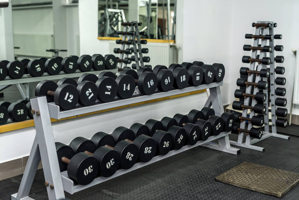 Set of dumbbells in sport gym, equipment - Zdjęcie, obraz