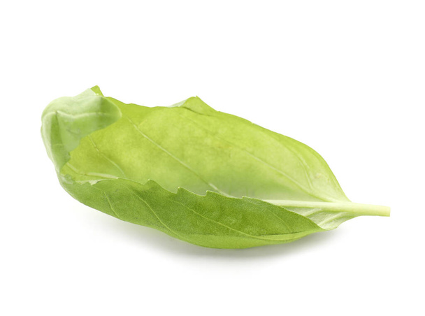Čerstvé zelené listy bazalky izolované na bílém - Fotografie, Obrázek