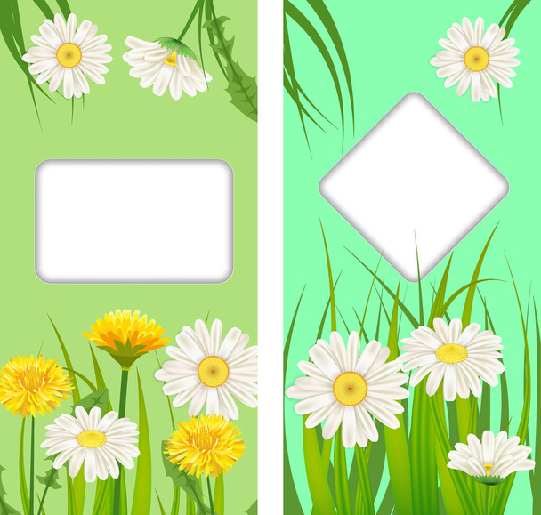 Σετ ανοιξιάτικες κάρτες λουλουδιών από πικραλίδες και μαργαρίτες, χαμομήλια, φόντο γρασίδι. Πολύχρωμα spring κάθετα banners social media ιστορίες ταπετσαρίες. Απομονωμένη απεικόνιση διανύσματος - Διάνυσμα, εικόνα