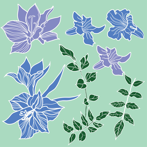 Vector set of natural plants and flowers design elements. Tropical flower stock illustration - Vector, Imagen