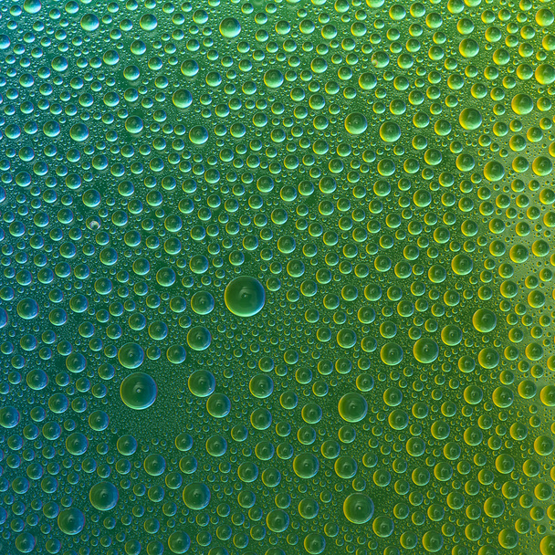 Water drops spectral green yellow blue gradient rainbow colorful beading lotuseffekt tau sealing - Photo, Image