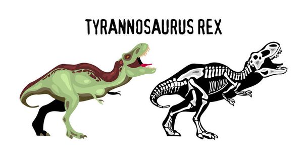Tyrannosaur rex poster educativo per lo studio dell'aspetto e della struttura dell'illustrazione vettoriale dei cartoni animati predatori estinti - Vettoriali, immagini