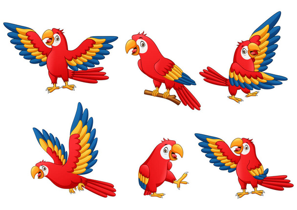 Set of funny parrot cartoon. Vector illustration - Vector, imagen