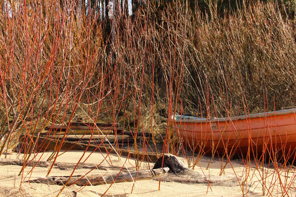 オレンジの枝の後ろに隠されているオレンジの漁師のボートは、それのための完璧なカモフラージュです。小さな漁船と海岸の風景。小さな船が岸に引っ張った.  - 写真・画像