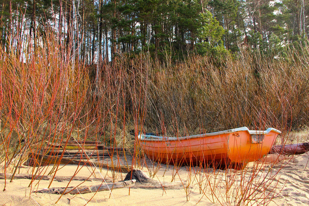 Naranja fishermans barco que se oculta detrás de las ramas de color naranja lo que es un camuflaje perfecto para ella. Paisaje costero con pequeño barco pesquero. Barco pequeño tirado a tierra
.  - Foto, imagen